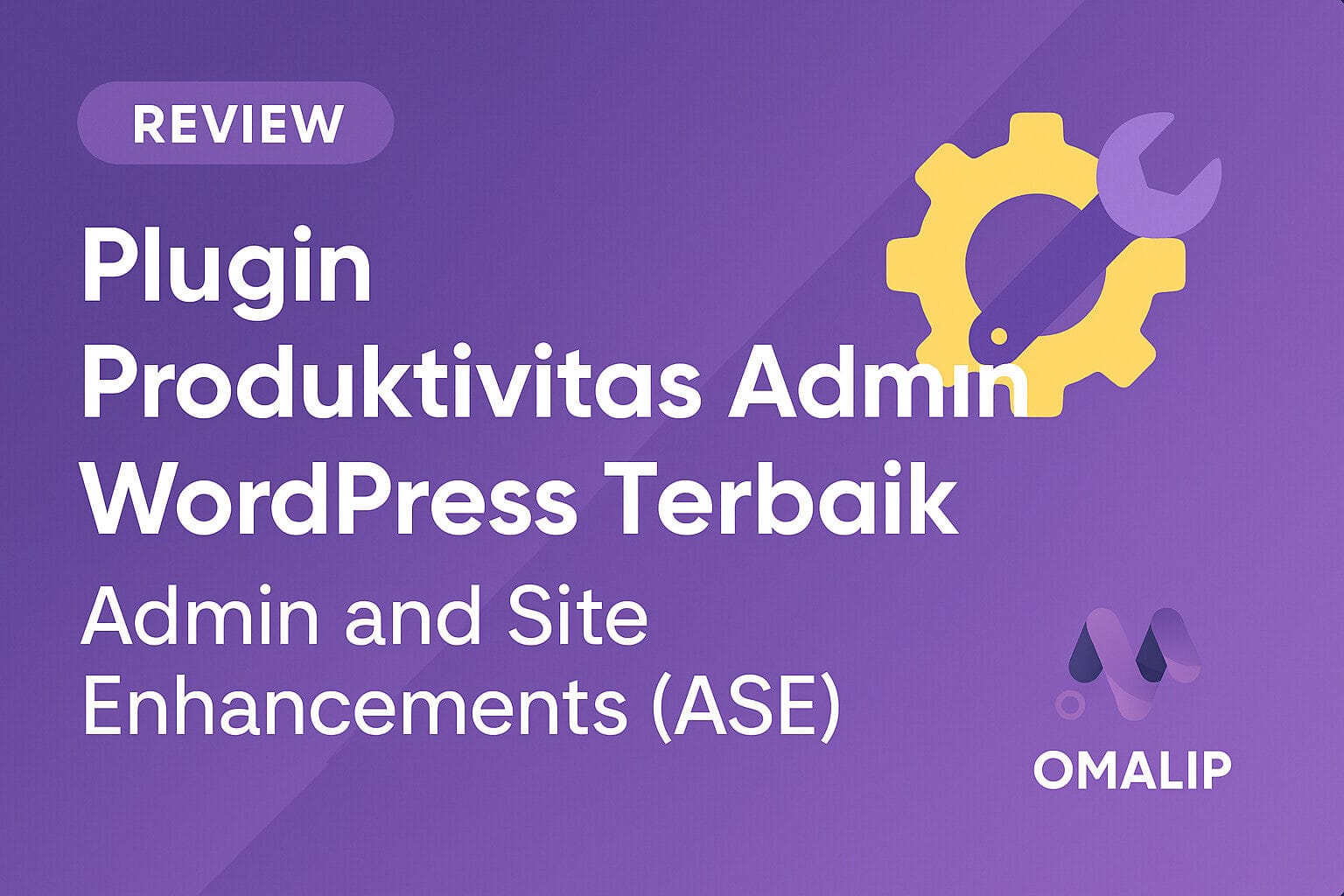 Review ASE Plugin WordPress